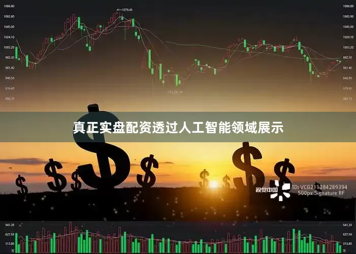 真正实盘配资透过人工智能领域展示