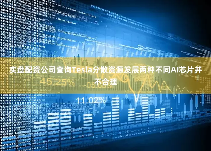 实盘配资公司查询Tesla分散资源发展两种不同AI芯片并不合理