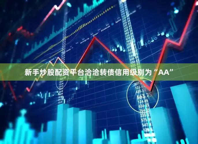 新手炒股配资平台洽洽转债信用级别为“AA”