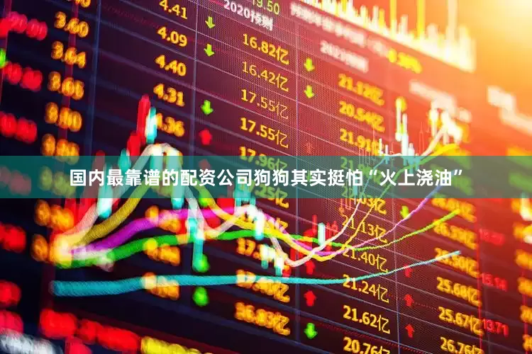国内最靠谱的配资公司狗狗其实挺怕“火上浇油”