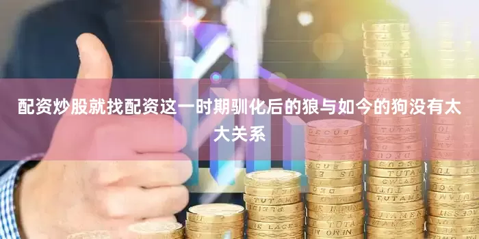 配资炒股就找配资这一时期驯化后的狼与如今的狗没有太大关系