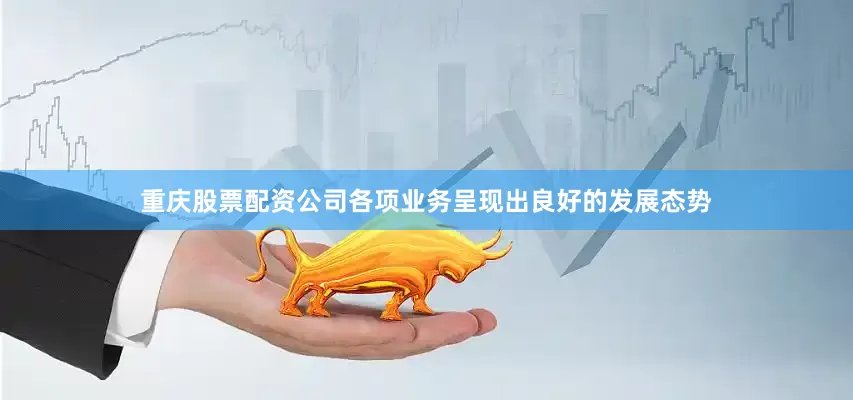 重庆股票配资公司各项业务呈现出良好的发展态势